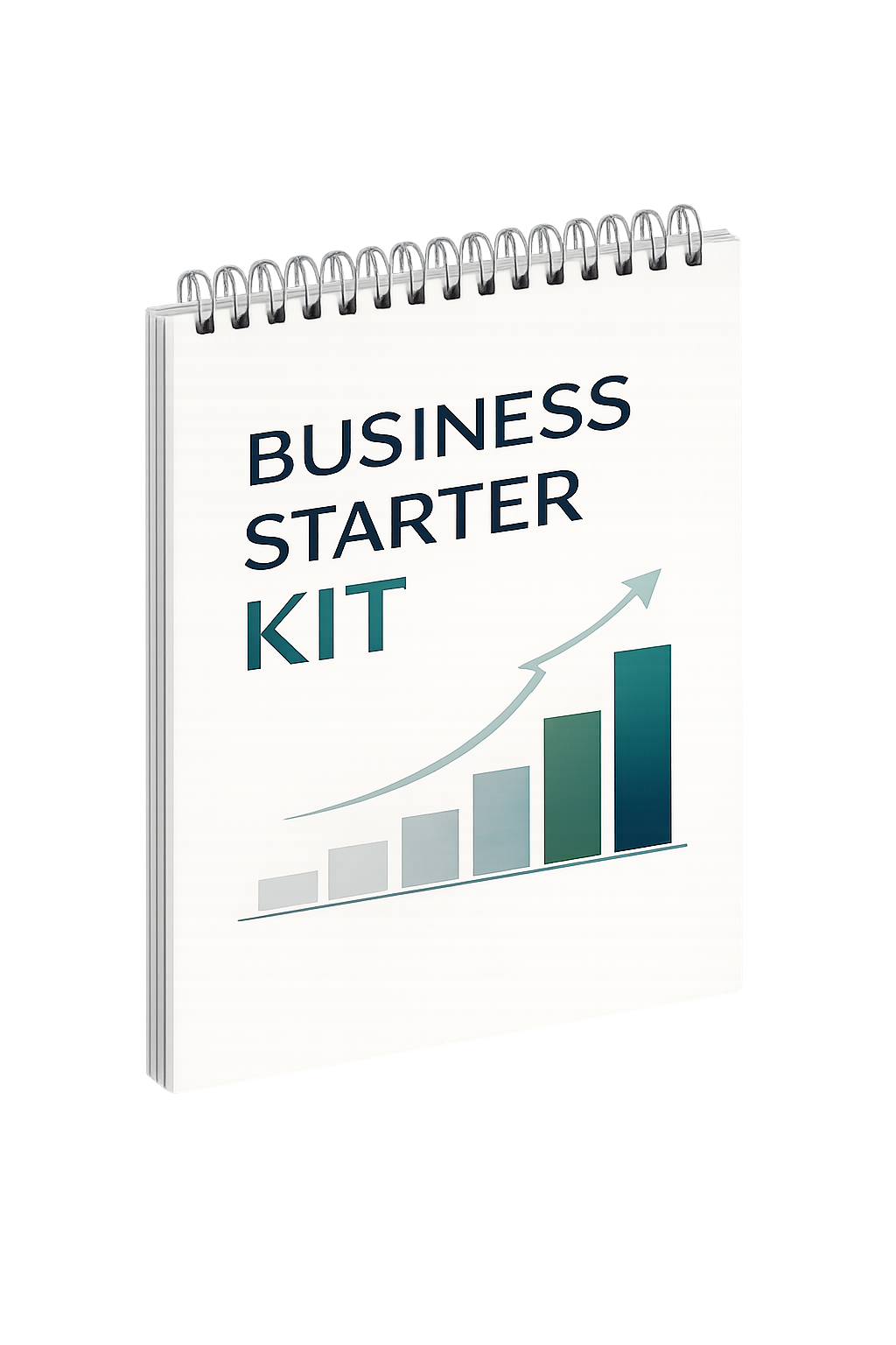 Business Starter Kit workbook